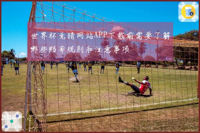 世界杯竞猜网站APP下载前需要了解哪些赔率规则和注意事项