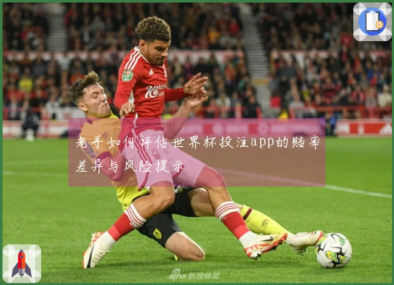 老手如何评估世界杯投注app的赔率差异与风险提示