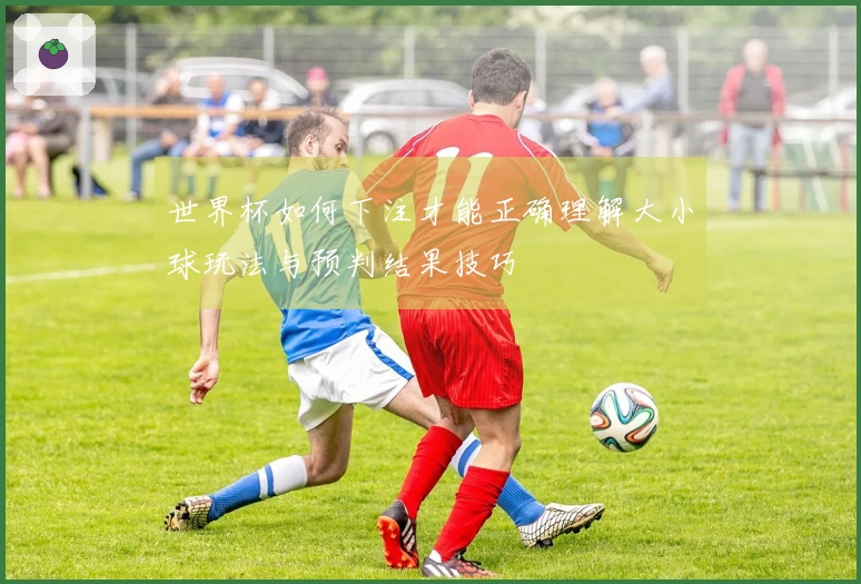 世界杯如何下注才能正确理解大小球玩法与预判结果技巧