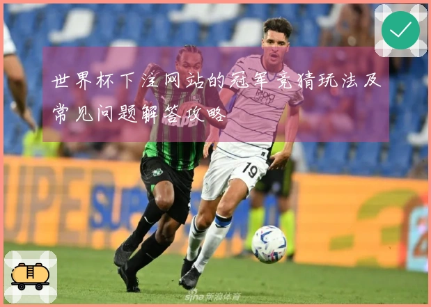 世界杯下注网站的冠军竞猜玩法及常见问题解答攻略