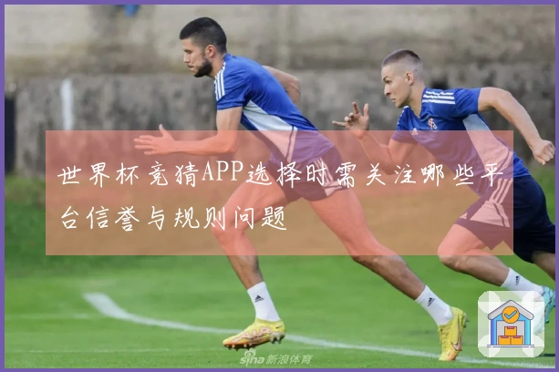 世界杯竞猜APP选择时需关注哪些平台信誉与规则问题