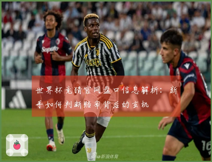 世界杯竞猜官网盘口信息解析:新手如何判断赔率背后的玄机
