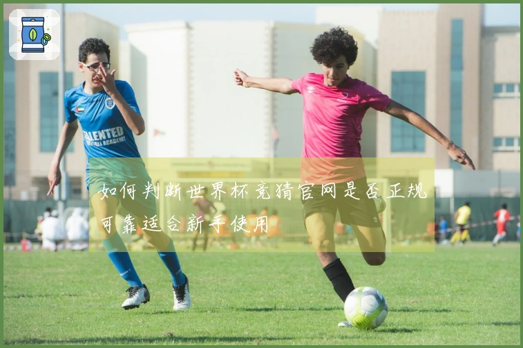 如何判断世界杯竞猜官网是否正规可靠适合新手使用