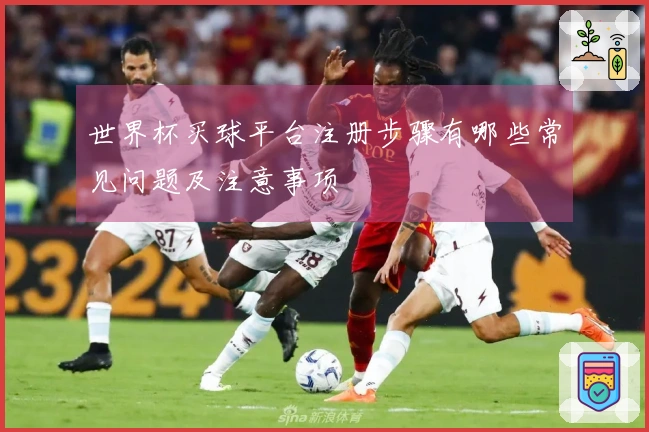 世界杯买球平台注册步骤有哪些常见问题及注意事项