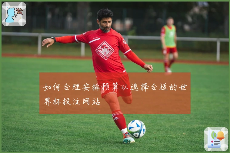 如何合理安排预算以选择合适的世界杯投注网站