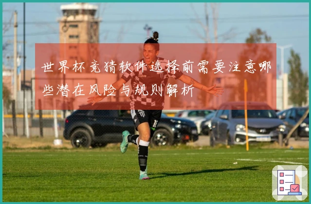 世界杯竞猜软件选择前需要注意哪些潜在风险与规则解析