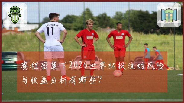 赛程密集下2026世界杯投注的风险与收益分析有哪些？