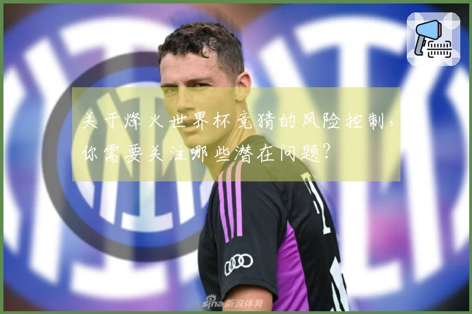 关于烽火世界杯竞猜的风险控制，你需要关注哪些潜在问题？