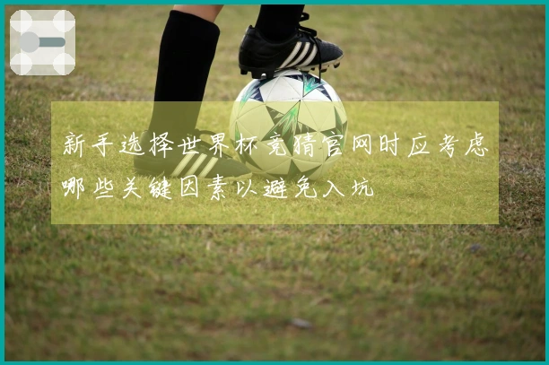 新手选择世界杯竞猜官网时应考虑哪些关键因素以避免入坑