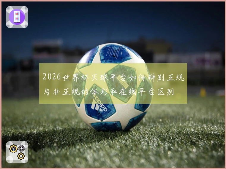 2026世界杯买球平台如何辨别正规与非正规的体彩和在线平台区别