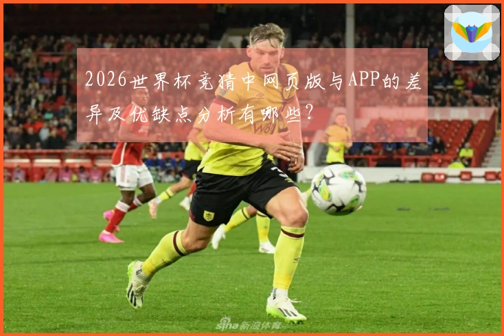 2026世界杯竞猜中网页版与APP的差异及优缺点分析有哪些?