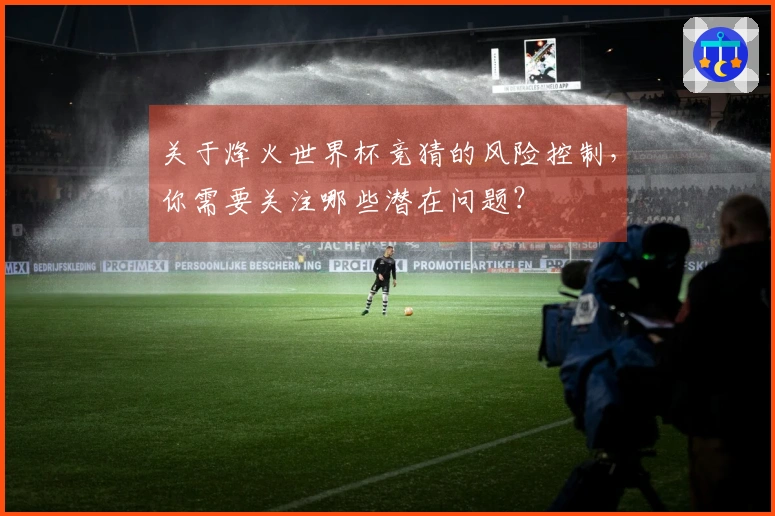 关于烽火世界杯竞猜的风险控制，你需要关注哪些潜在问题？