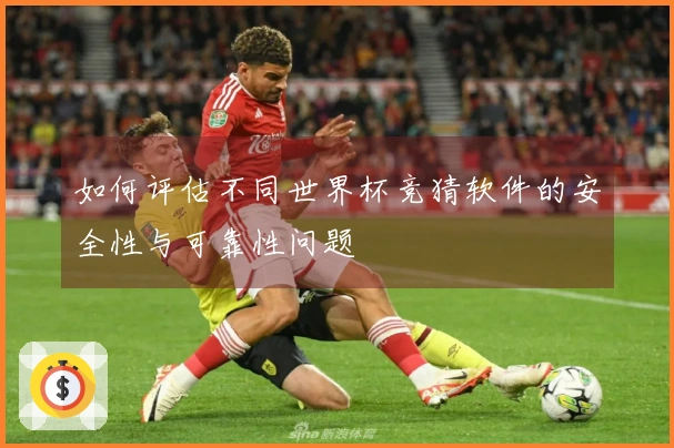 如何评估不同世界杯竞猜软件的安全性与可靠性问题