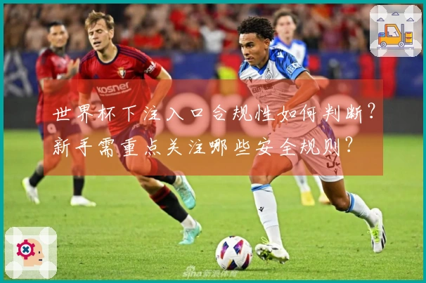 世界杯下注入口合规性如何判断？新手需重点关注哪些安全规则？