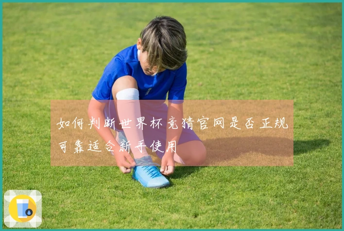 如何判断世界杯竞猜官网是否正规可靠适合新手使用