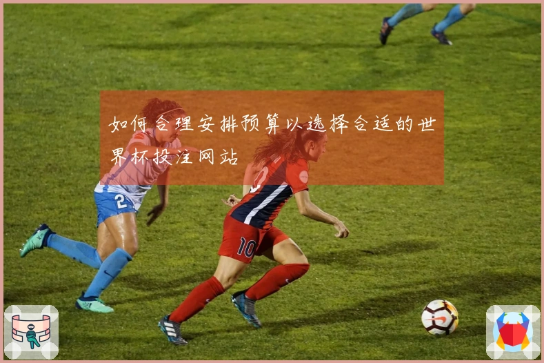 如何合理安排预算以选择合适的世界杯投注网站