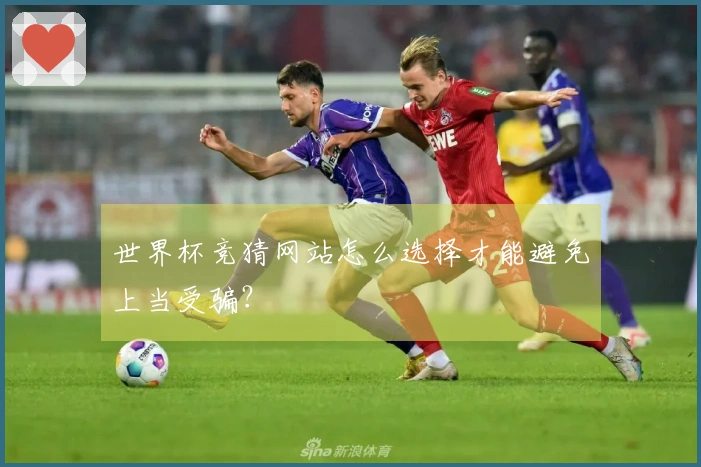 世界杯竞猜网站怎么选择才能避免上当受骗？
