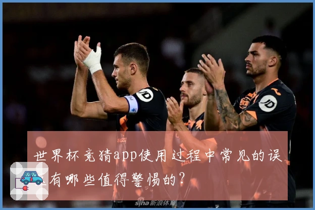 世界杯竞猜app使用过程中常见的误区有哪些值得警惕的？
