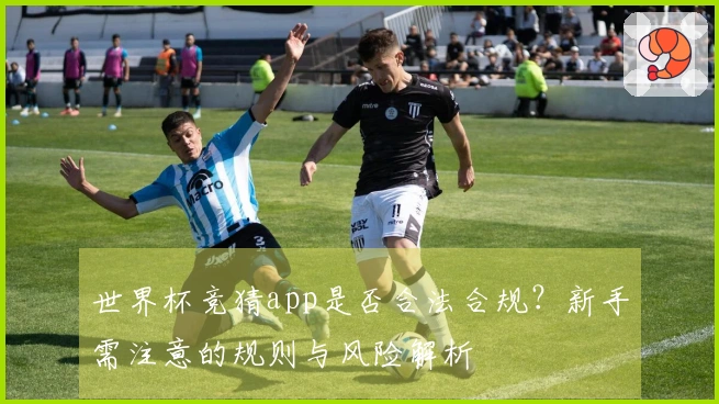 世界杯竞猜app是否合法合规？新手需注意的规则与风险解析