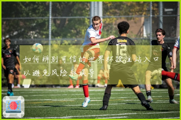 如何辨别可信的世界杯投注站入口以避免风险和误导