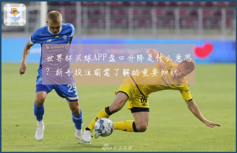 世界杯买球APP盘口升降是什么意思？新手投注前需了解的重要知识