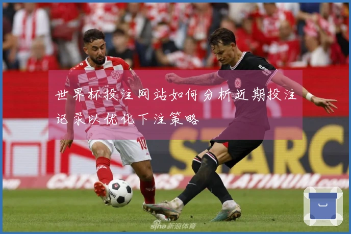 世界杯投注网站如何分析近期投注记录以优化下注策略
