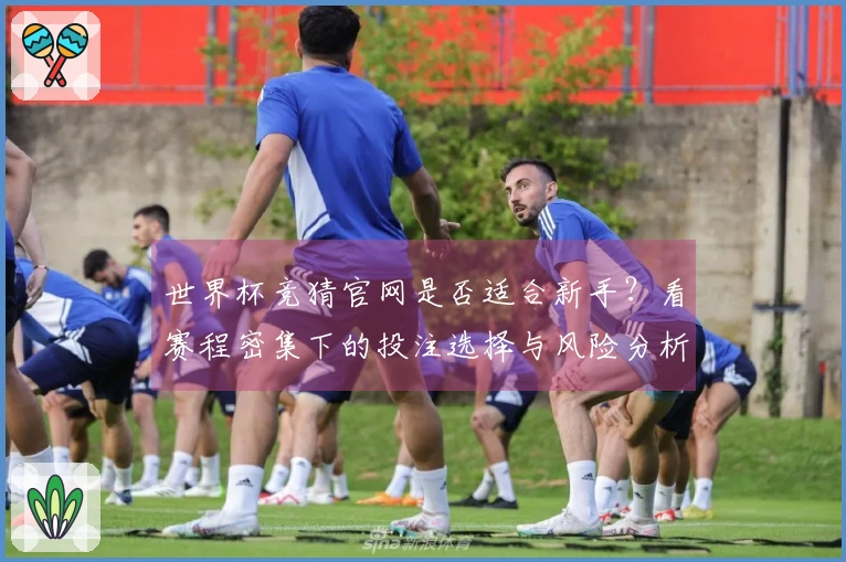 世界杯竞猜官网是否适合新手？看赛程密集下的投注选择与风险分析