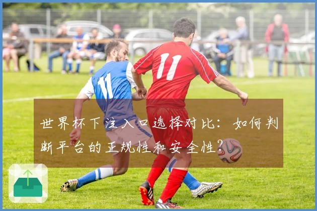 世界杯下注入口选择对比：如何判断平台的正规性和安全性？