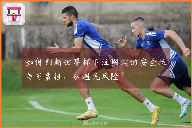如何判断世界杯下注网站的安全性与可靠性，以避免风险？