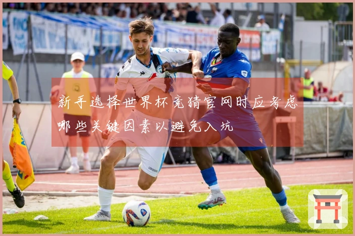 新手选择世界杯竞猜官网时应考虑哪些关键因素以避免入坑
