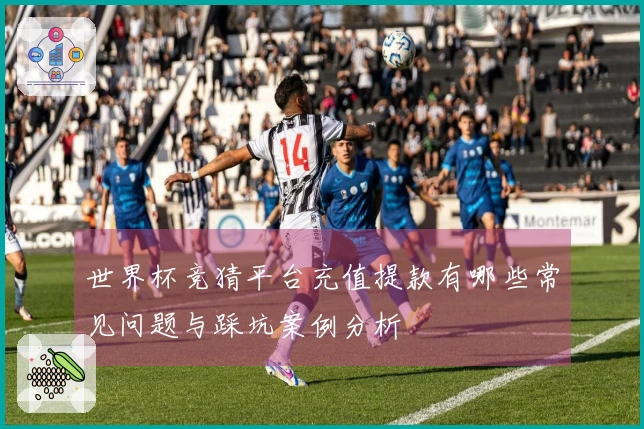 世界杯竞猜平台充值提款有哪些常见问题与踩坑案例分析