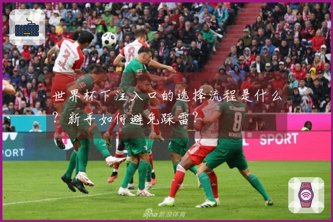 世界杯下注入口的选择流程是什么？新手如何避免踩雷？
