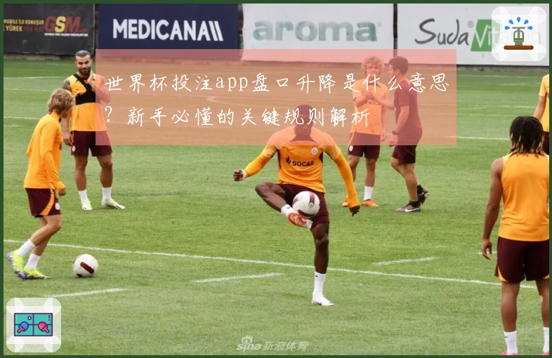 世界杯投注app盘口升降是什么意思？新手必懂的关键规则解析
