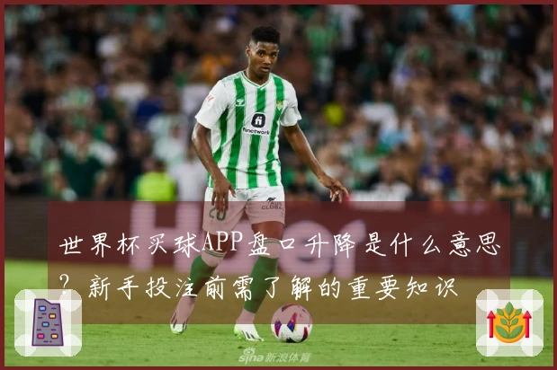 世界杯买球APP盘口升降是什么意思？新手投注前需了解的重要知识