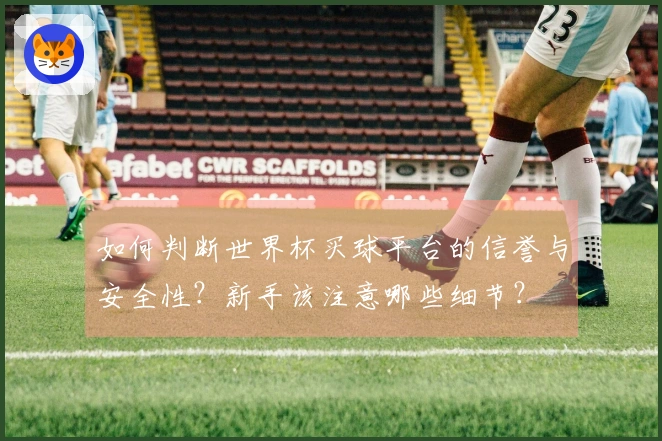 如何判断世界杯买球平台的信誉与安全性？新手该注意哪些细节？