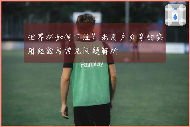 世界杯如何下注？老用户分享的实用经验与常见问题解析