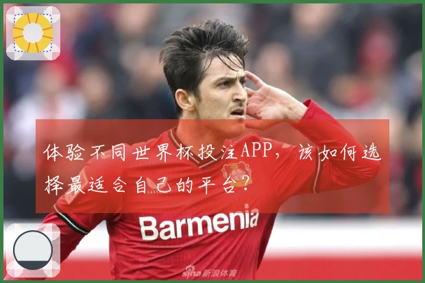 体验不同世界杯投注APP,该如何选择最适合自己的平台?