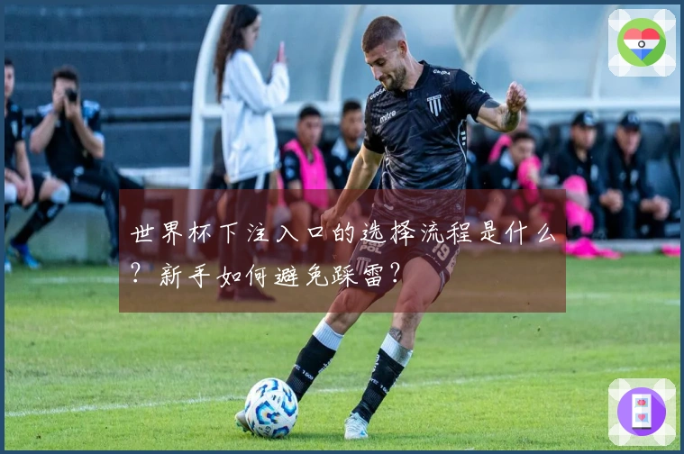 世界杯下注入口的选择流程是什么？新手如何避免踩雷？
