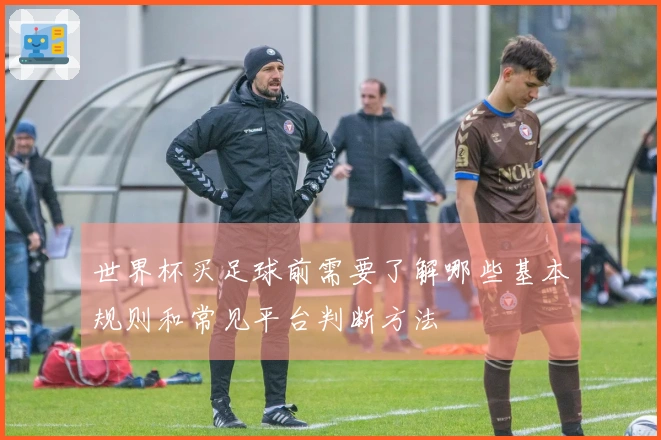 世界杯买足球前需要了解哪些基本规则和常见平台判断方法