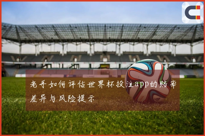 老手如何评估世界杯投注app的赔率差异与风险提示