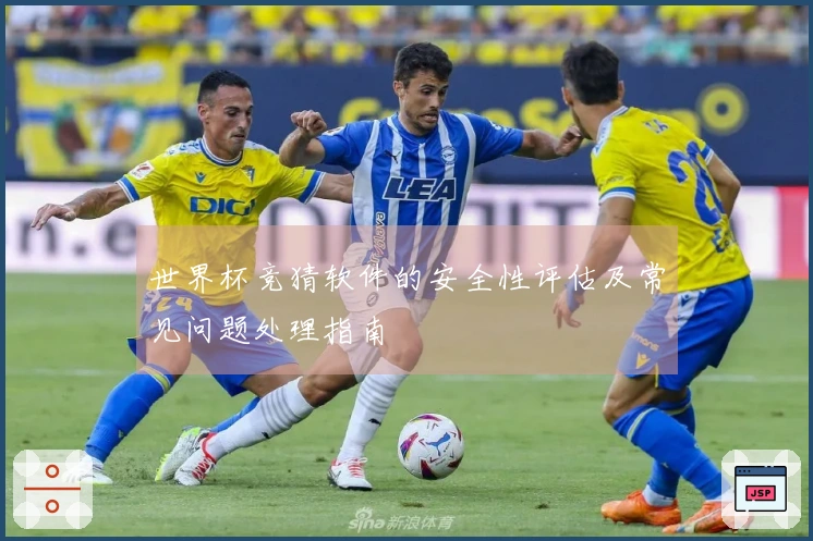 世界杯竞猜软件的安全性评估及常见问题处理指南