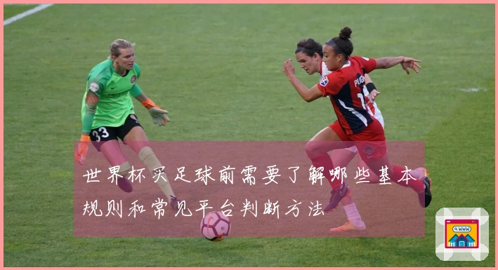 世界杯买足球前需要了解哪些基本规则和常见平台判断方法