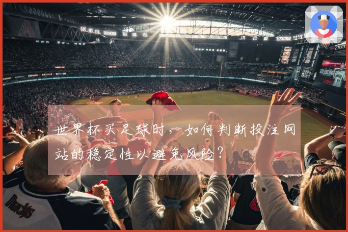世界杯买足球时，如何判断投注网站的稳定性以避免风险？