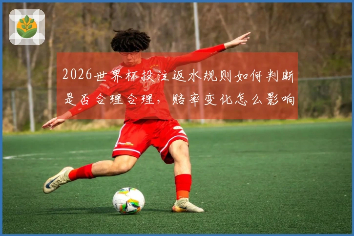 2026世界杯投注返水规则如何判断是否合理合理,赔率变化怎么影响返水收益