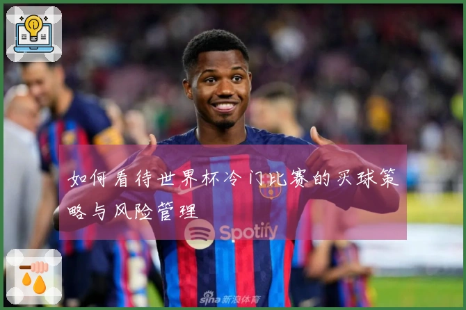 如何看待世界杯冷门比赛的买球策略与风险管理
